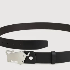 Braun Büffel Belt | Accessories>NAPPA LEATHER BELT WITH NICKEL IN SATIN FINISH IN STAINLESS STEEL PLATE BUCKLE